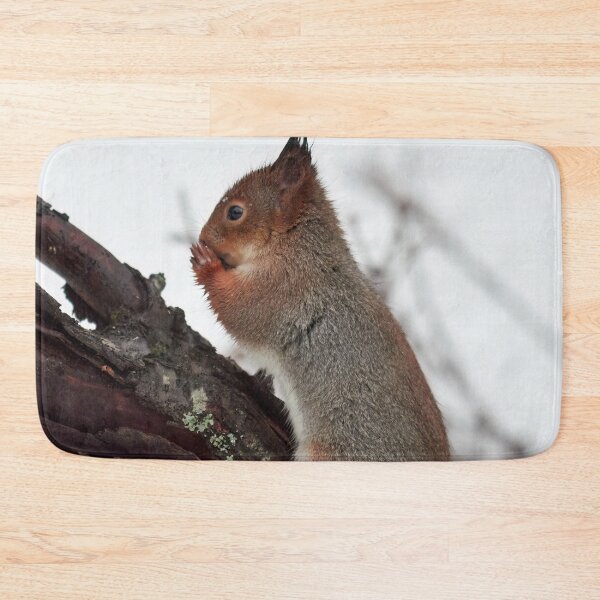 Item preview, Oh my Lord. Red squirrel designed and sold by Jouko Lehto Photography.