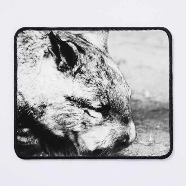 Item preview, Mr Wombat designed and sold by PrettyKitty.