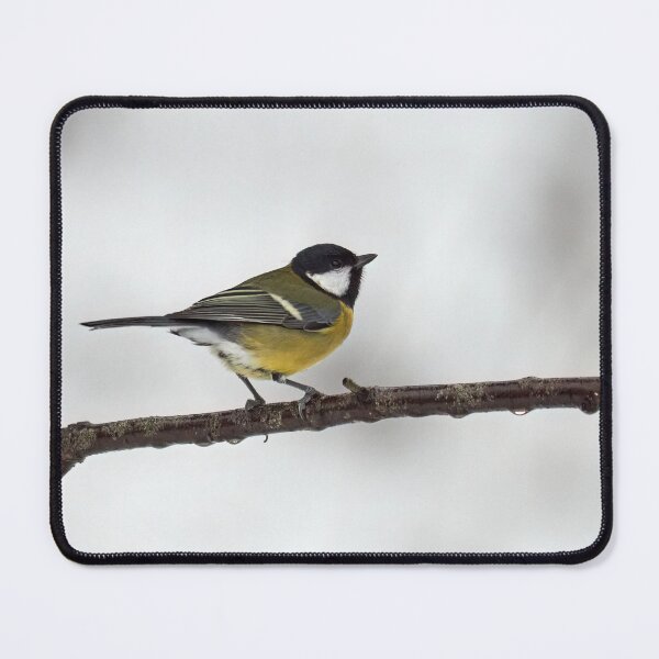 Item preview, Great tit minimalistic designed and sold by Jouko Lehto Photography.