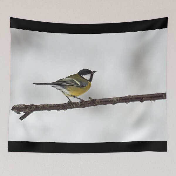Item preview, Great tit minimalistic designed and sold by Jouko Lehto Photography.