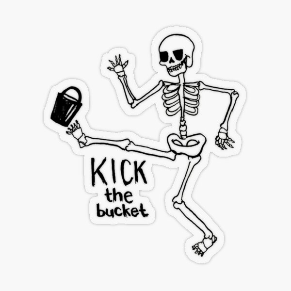 Kick The Bucket Gifts & Merchandise for Sale, kicked the bucket