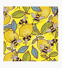 Yellow lemon and bee garden. Photographic Print