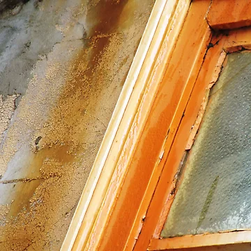 Artwork thumbnail, Window Rust by Paul Todd