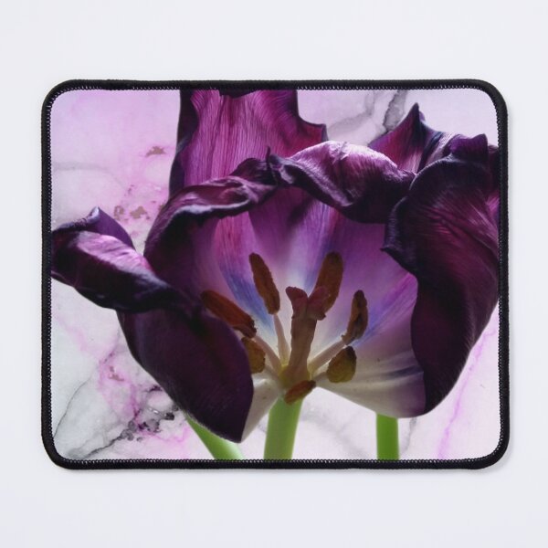 Item preview, Magenta purple tulip in abscission (dropping its petals) | marbled cyan turquoise blue pink black designed and sold by DigitalEurydice.