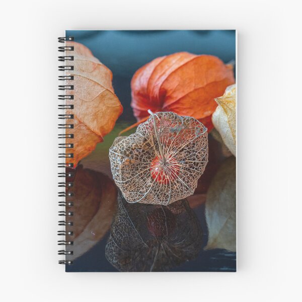 Item preview, Physalis trilogy. designed and sold by Ingo Gerlach.