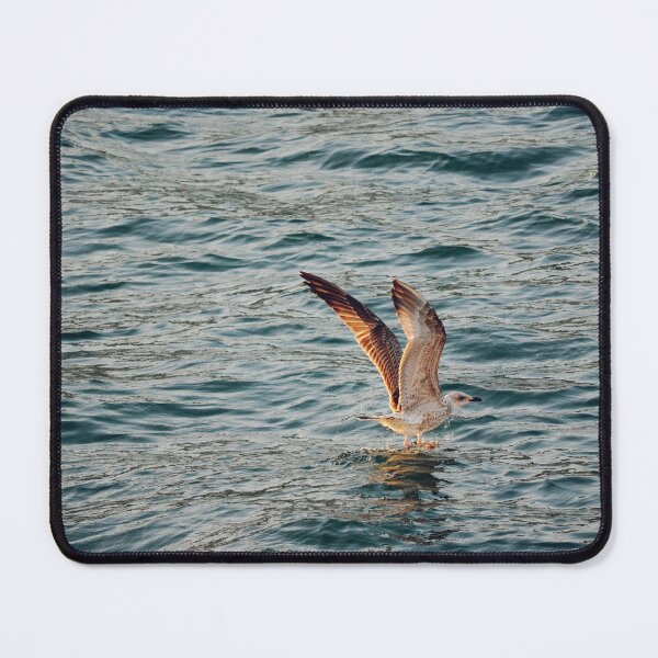 Item preview, Seagull Landing on Sea Water in Mediterranean Island designed and sold by CarolinaReina.