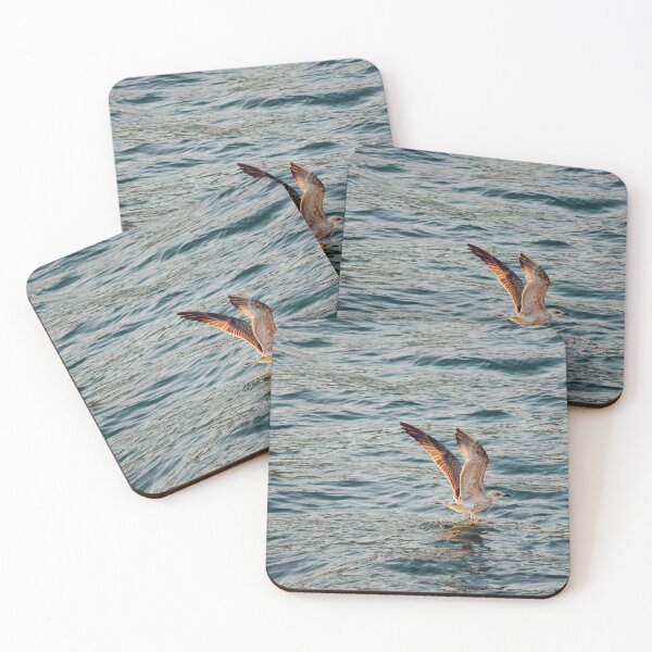 Item preview, Seagull Landing on Sea Water in Mediterranean Island designed and sold by CarolinaReina.