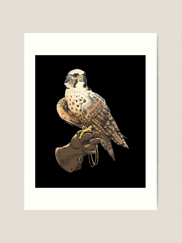 Art Raptors Birds of Prey Print Owl Hawk Eagle Bird Falconer Falcony Decor