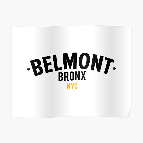 "New York Bronx New York Bronx Lettering Bronx Logo Bronx Belmont