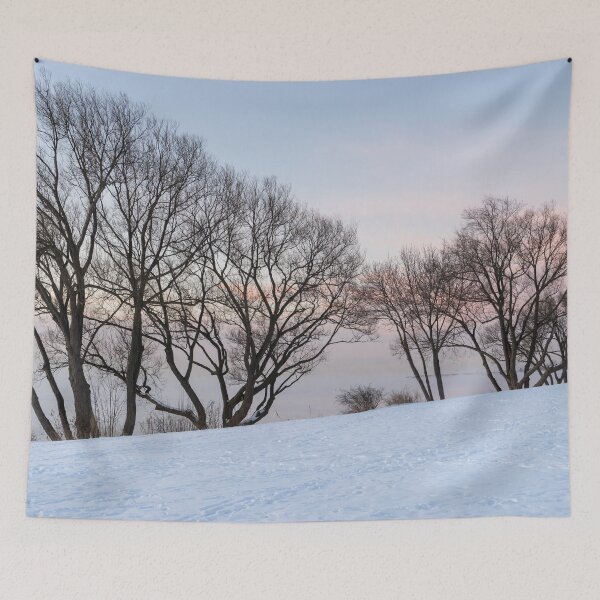 Item preview, Snow and Willows - Cold Sunset on the Shore of Lake Ontario in Toronto designed and sold by Georgia Mizuleva.