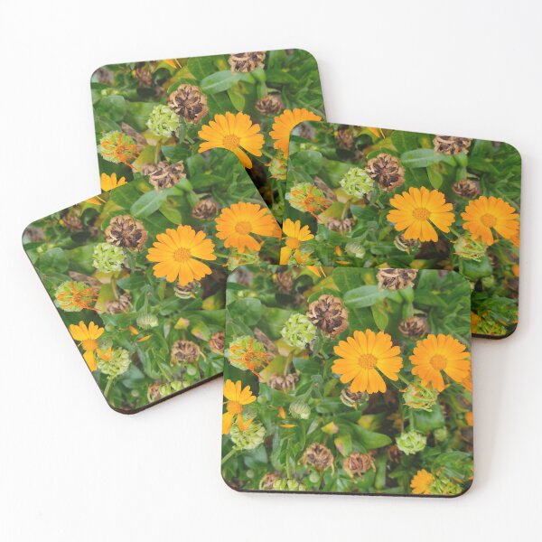 Item preview, The Orange Daisies designed and sold by Aesthetic Crew.