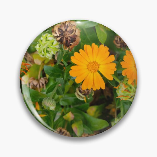 Item preview, The Orange Daisies designed and sold by Aesthetic Crew.