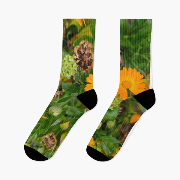 Item preview, The Orange Daisies designed and sold by Aesthetic Crew.