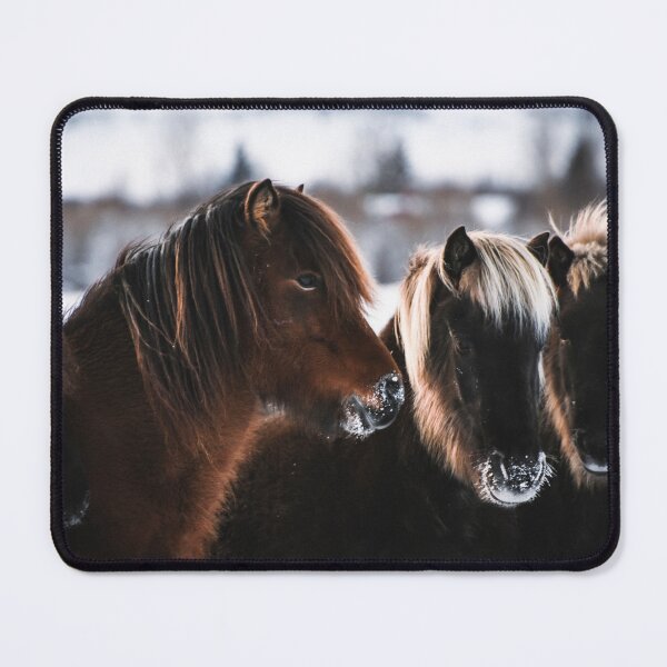 Item preview, Icelandic horse herd in winter designed and sold by Jessinia Wallach.