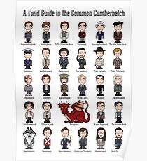 A Field Guide to the Common Cumberbatch (print/poster) Poster