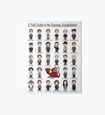 A Field Guide to the Common Cumberbatch (print/poster) Art Board