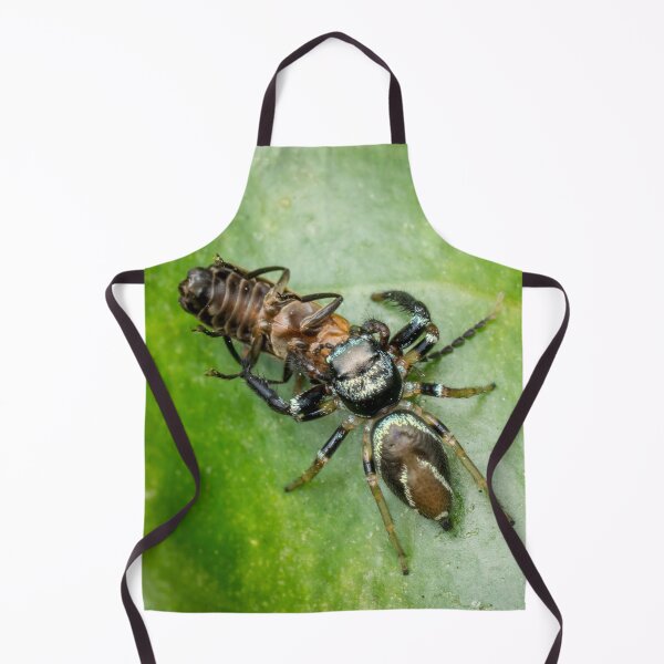 Item preview, A metallic blue jumper (Thiania bhamoensis) with a prey designed and sold by AvonPerception.