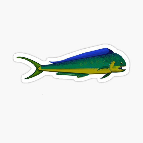 Angry Mahi Fish Fishing Vinyl Sticker Saltwater Decal Car Cup Boat Cooler  Bumper