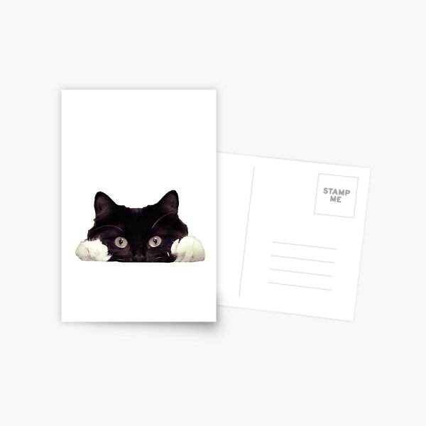 Peeking Cat Postcard