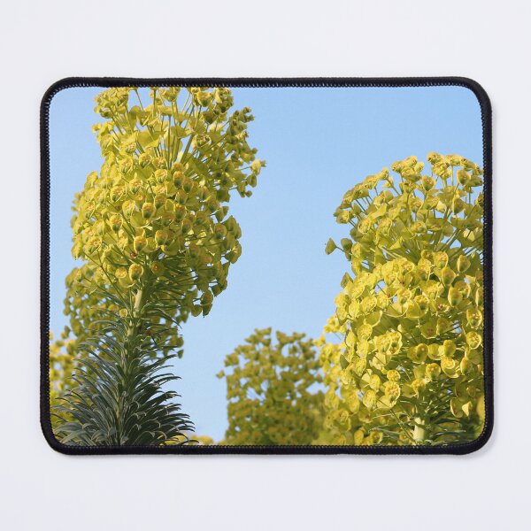 Item preview, Yellow Spurge Flowers designed and sold by pinkal.