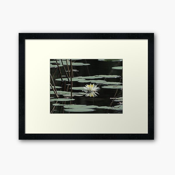 Item preview, Nénuphar sur le lac designed and sold by Jmb67.
