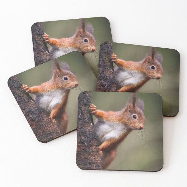 Item preview, Red Squirrel Clinging to Tree designed and sold by WilkinsWildlife.