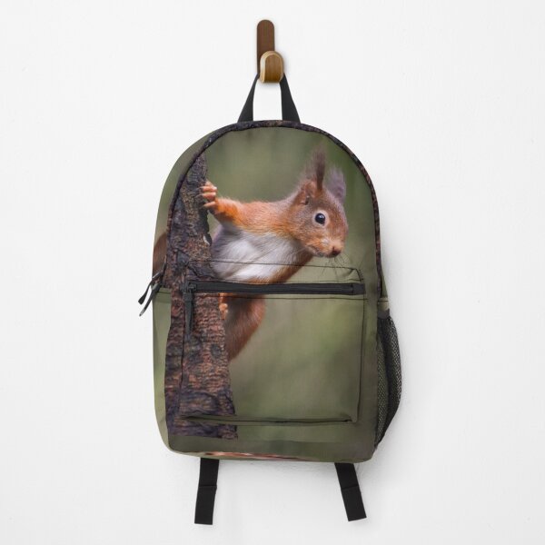 Item preview, Red Squirrel Clinging to Tree designed and sold by WilkinsWildlife.