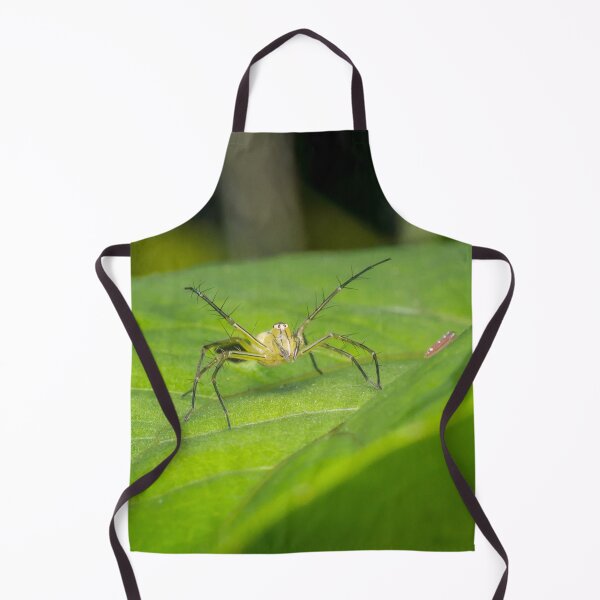 Item preview, Striped lynx spider saying "come at me, bro!" designed and sold by AvonPerception.