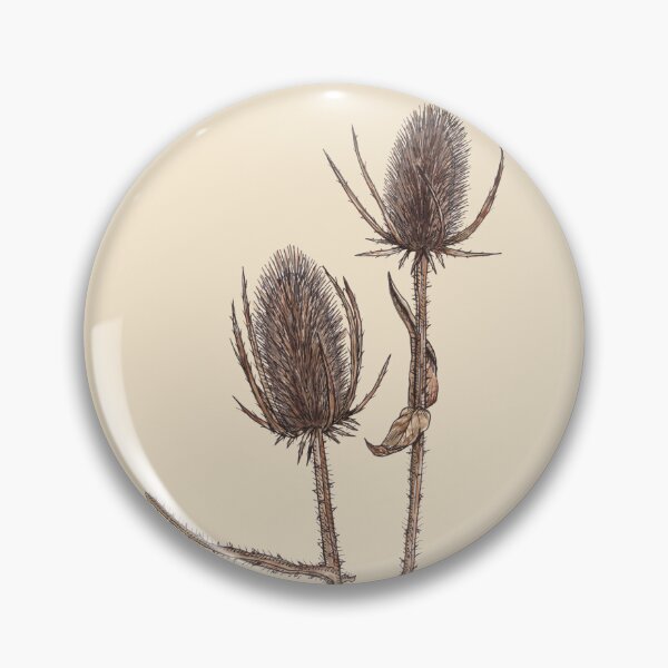 Item preview, Teasel Seed Pods, Dipsacus Fullonum, Wild Teasel Plant designed and sold by TasiaZenzura.