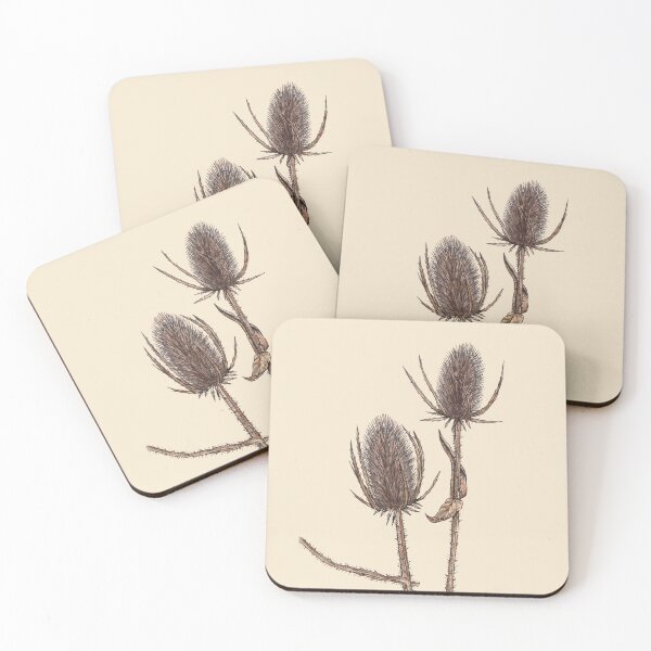 Item preview, Teasel Seed Pods, Dipsacus Fullonum, Wild Teasel Plant designed and sold by TasiaZenzura.