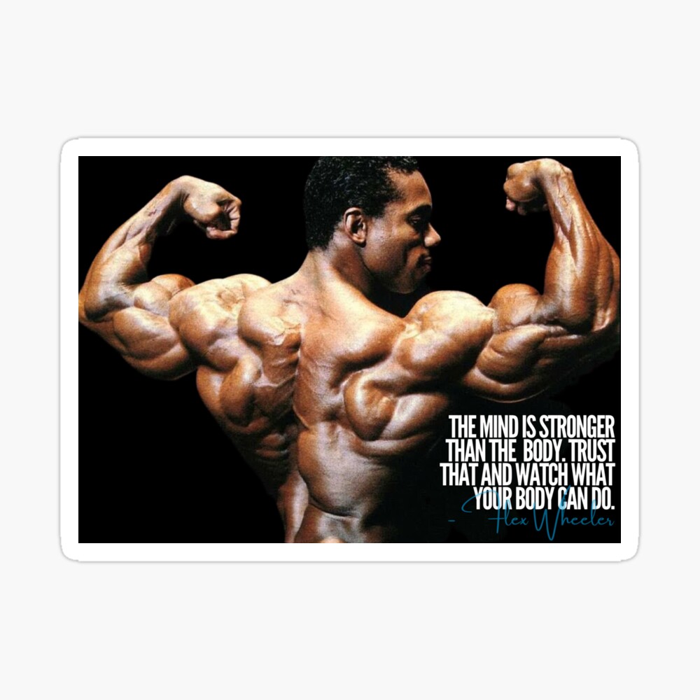 New Lou Ferrigno Gym Bodybuilding Quotes Fitness Star Poster And Prints  Wall Art Painting Picture Photo Gif For Room Home Decor - AliExpress