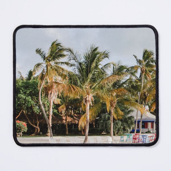 Item preview, Key Islamorada Florida USA | Palm trees | Travel Photography designed and sold by AmberdenOudsten.