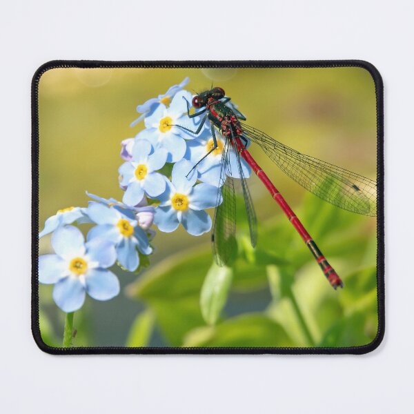 Item preview, Damsel fly on Forget-me-not designed and sold by Mart R Porter Nature.