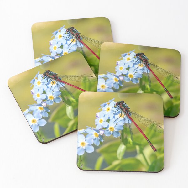 Item preview, Damsel fly on Forget-me-not designed and sold by Mart R Porter Nature.
