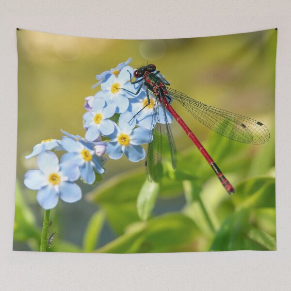 Item preview, Damsel fly on Forget-me-not designed and sold by Mart R Porter Nature.