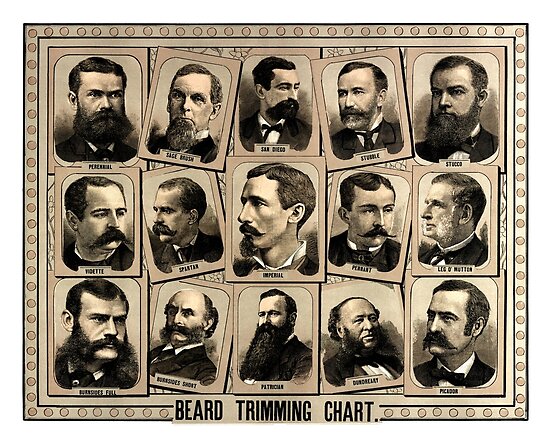 Beard Trimming Chart