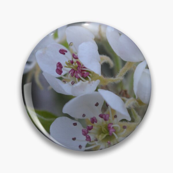 Item preview, Pear flowers designed and sold by AliciaVN.