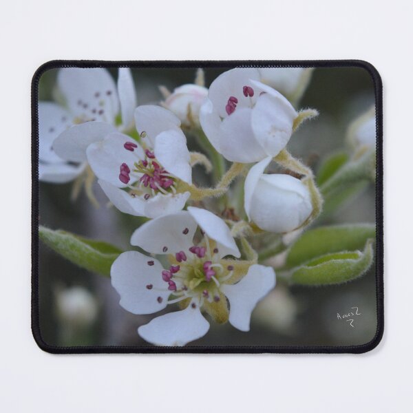 Item preview, Pear flowers designed and sold by AliciaVN.