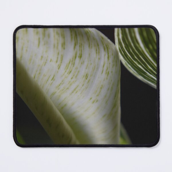 Item preview, Hojas de follaje macro designed and sold by Tonia Delozier's Photography .