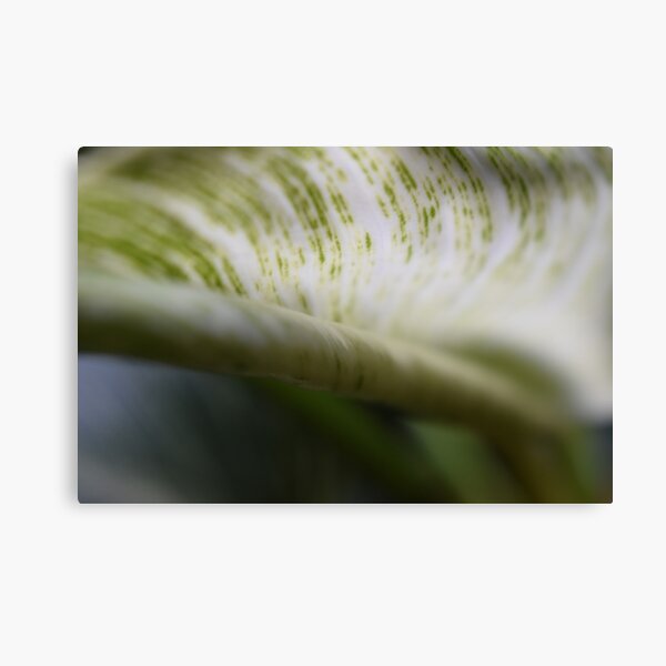 Item preview, Curled Foliage leaf designed and sold by Tonia Delozier's Photography .