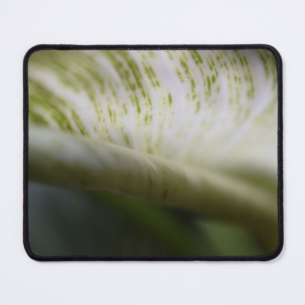 Item preview, Curled Foliage leaf designed and sold by Tonia Delozier's Photography .
