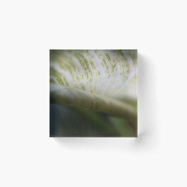 Item preview, Curled Foliage leaf designed and sold by Tonia Delozier's Photography .