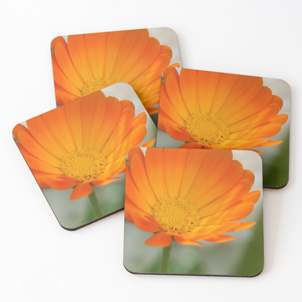 Item preview, Orange flower on nature background designed and sold by olena2552.