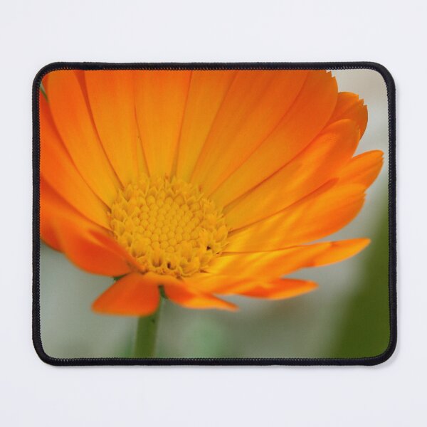 Item preview, Orange flower on nature background designed and sold by olena2552.