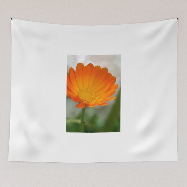 Item preview, Orange flower on nature background designed and sold by olena2552.