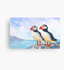 Two puffins Canvas Print