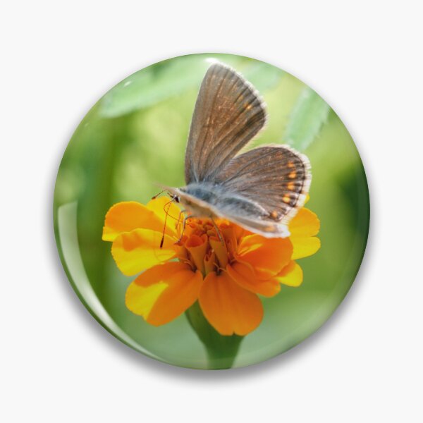 Item preview, Colorful butterfly on orange flower designed and sold by olena2552.