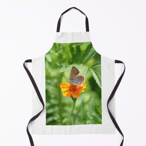 Item preview, Colorful butterfly on orange flower designed and sold by olena2552.