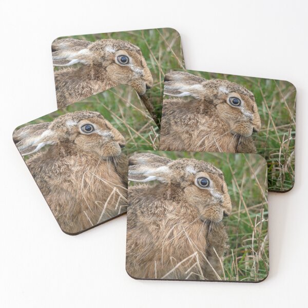 Item preview, Brown Hare designed and sold by Mart R Porter Nature.