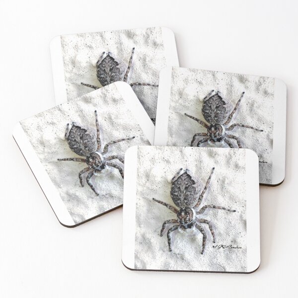 Item preview, jumping spider designed and sold by elGatCendrer.